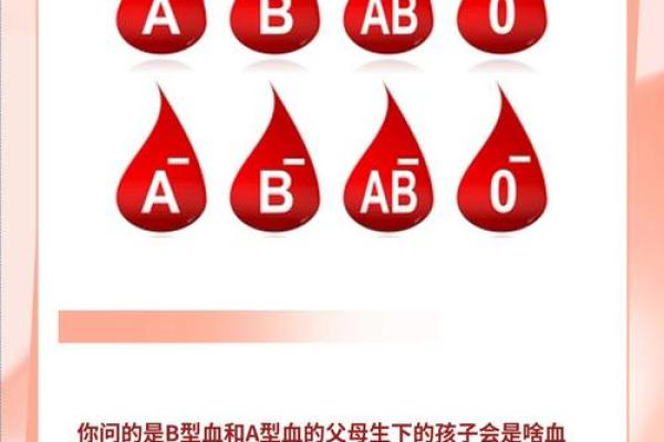 什么是血型的求爱讯号