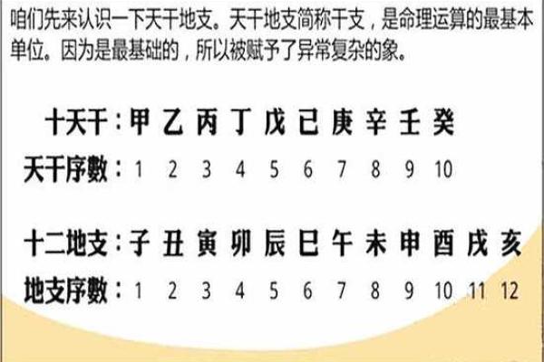 八字初学