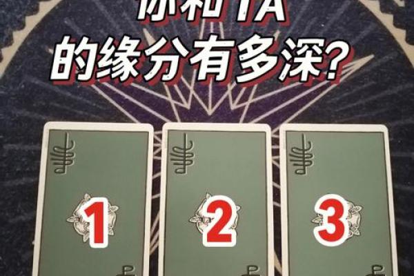 电脑测试姻缘