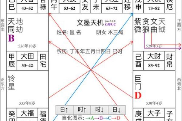 进退马紫薇斗数