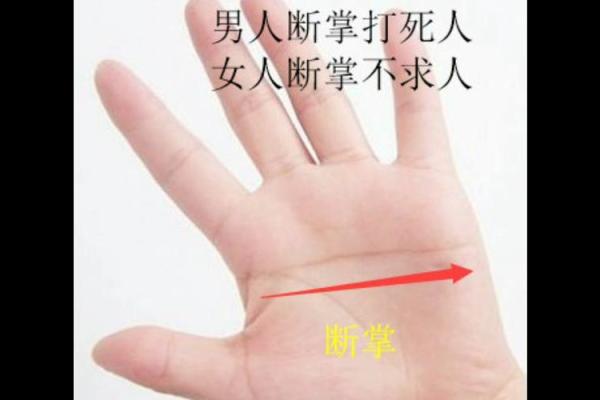 风水断掌的男人的命好不好