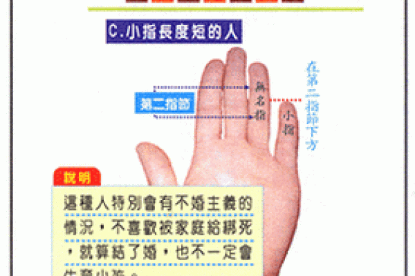 手指形状算命