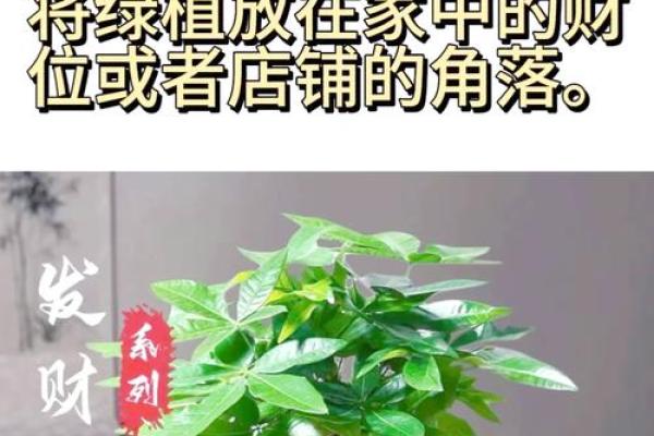 能够开旺财运的风水方法有哪些