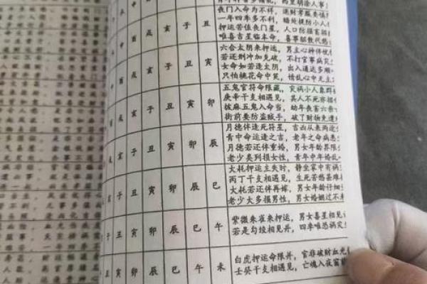 八字速查