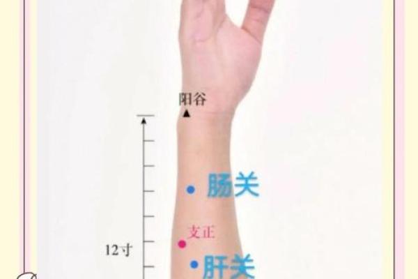 风水中的穴位有哪些禁忌