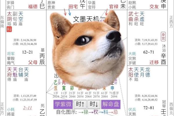 紫薇斗数夹贵