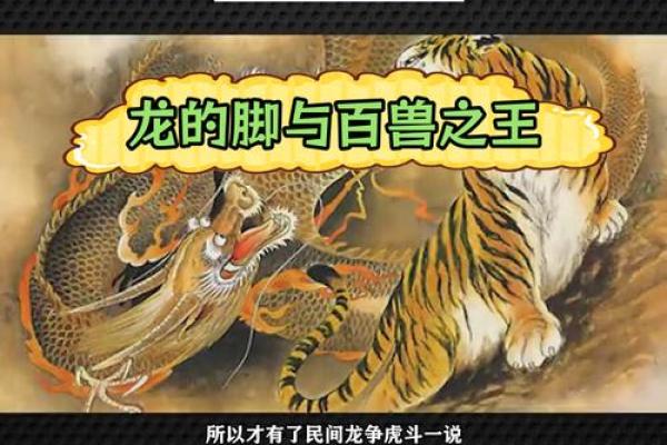 生肖配对-虎和龙的性格特点和最佳组合