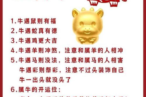 生肖牛父子配对-八个值得一看的组合