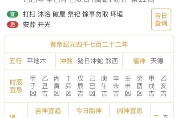 八字癸巳什么意思