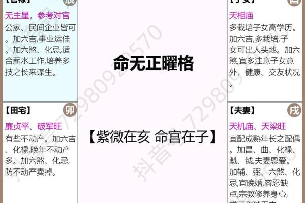紫微命盘太阴在亥宫,太阴星在亥宫守命宫