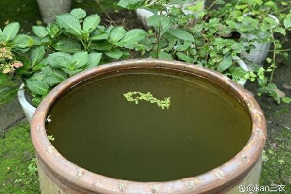 风水农村房子里床头是水缸