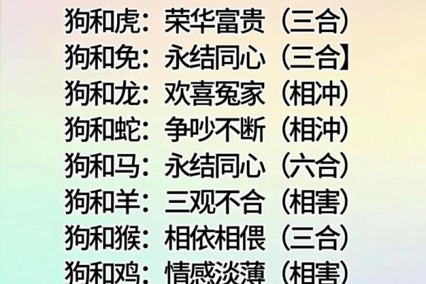 十二肖和十二生肖配对,十二生肖最佳婚配表是怎样的？