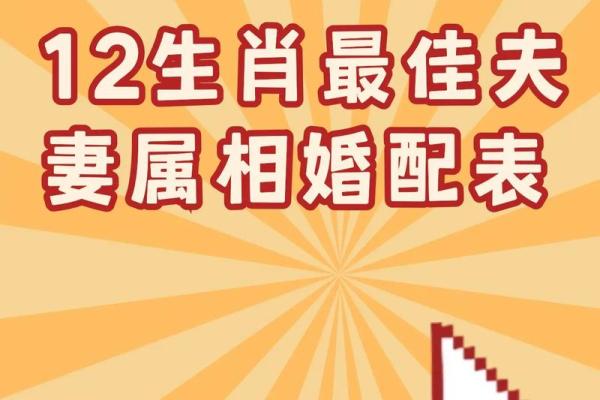 十二肖和十二生肖配对,十二生肖最佳婚配表是怎样的？