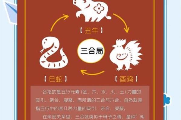 牛属与哪些生肖最佳配对