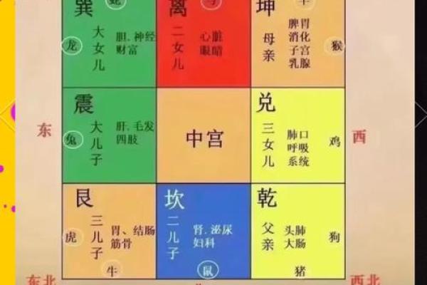 健康风水攻略