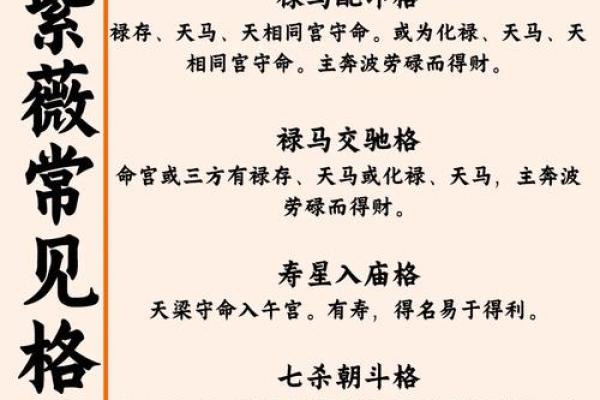 紫薇斗数领袖格局