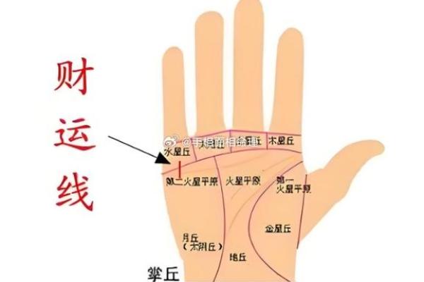 五角星手纹算命图解 五角星手纹手相