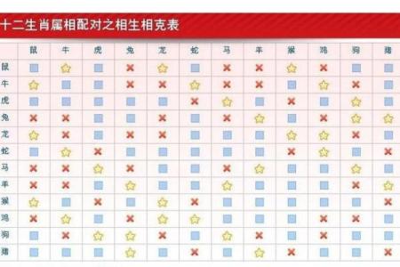 婚姻配对属蛇和属猪相克怎么办