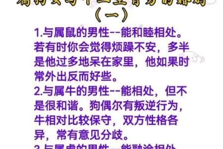 狗的属相配对婚配表