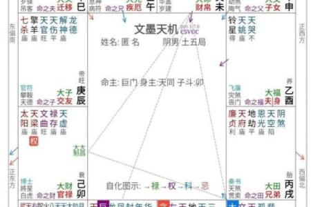 紫薇斗数批大限