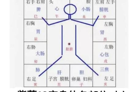 紫薇斗数案例解析