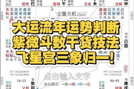 排紫薇斗数流年