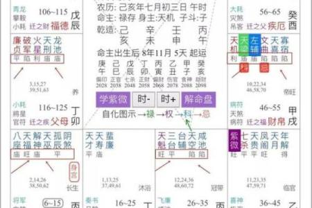 紫微斗数诸星落命宫之：命宫无正星详解