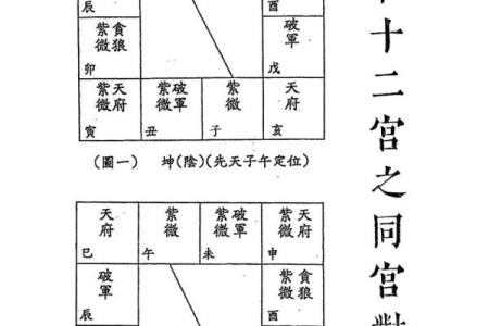 紫薇斗数看润月