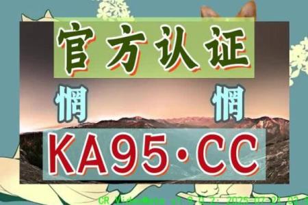 姓名最佳配对 姓名最佳配对查询？