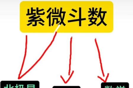 葵葵紫薇斗数入门的简单介绍