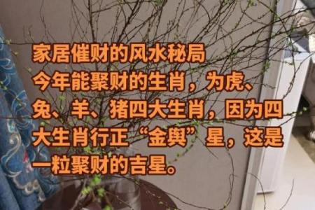 善用这几种风水，催旺家运财运