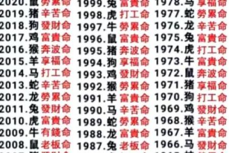 算命要我晒太阳