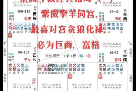 紫薇斗数能用吗