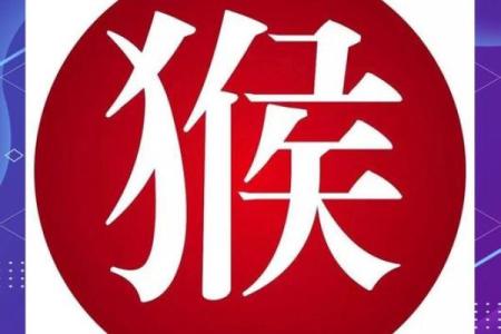 办公桌属相的最佳方位：生肖与办公桌朝向