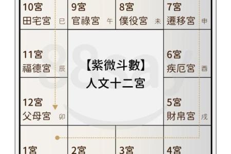 紫薇斗数看生育时间