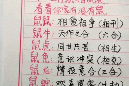 生肖鼠与十二生肖配对情况