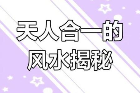 风水的技巧，带你掌握人生奥秘