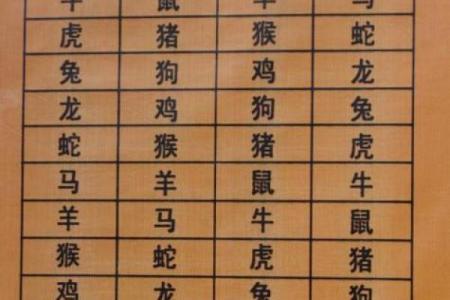 1988年属相是什么生肖配对