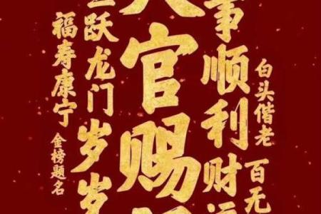 刘大师算命：从出生时辰看属兔人的财运