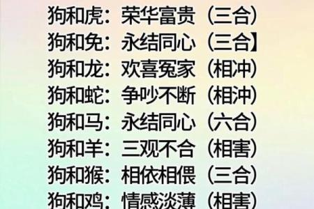 十二肖和十二生肖配对,十二生肖最佳婚配表是怎样的？