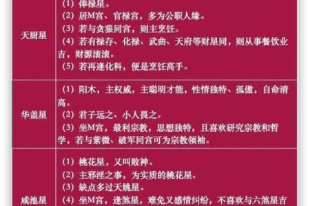 紫薇斗数律师