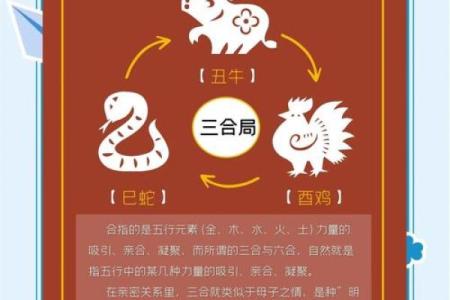 牛属与哪些生肖最佳配对
