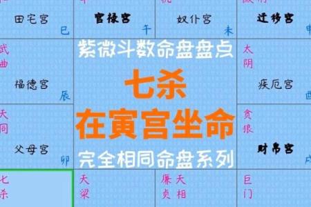 紫微斗数诸星落诸宫之：七杀星兄弟宫详解