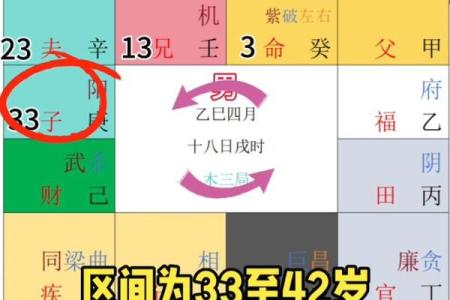 紫微斗数全书 斗数发微论 羊陀七杀限运莫逢，逢之定有刑伤。