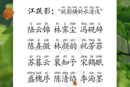 姓名配对男陈女严 陈严取名字？
