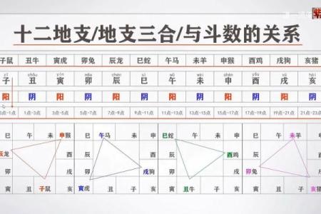 阳阳易经书店紫薇斗数