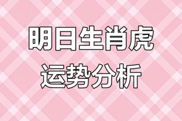 属虎方位吉凶图解大全