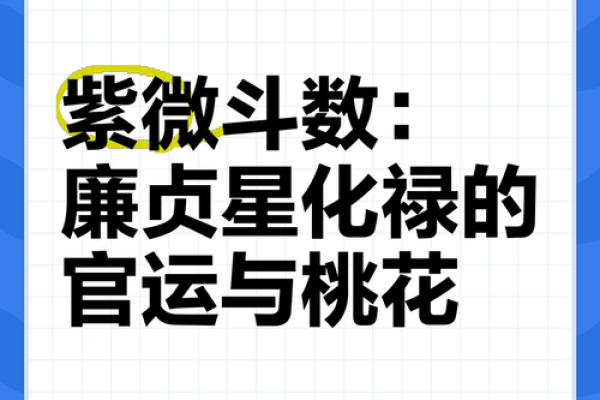 紫微斗数星曜漫谈——廉贞星
