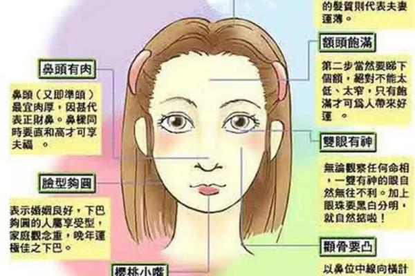 面相算命看法的特征,面相的基本看法