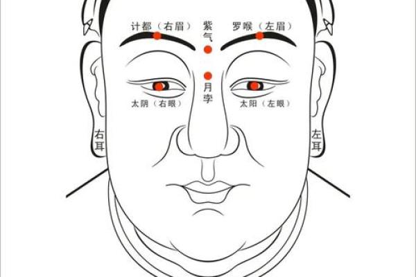 面相算命看法的特征,面相的基本看法